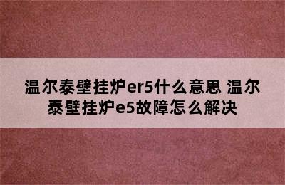 温尔泰壁挂炉er5什么意思 温尔泰壁挂炉e5故障怎么解决